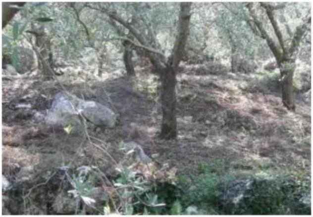 Immobile in asta di 178 m² in vendita a Sesto Campano - Foto 8