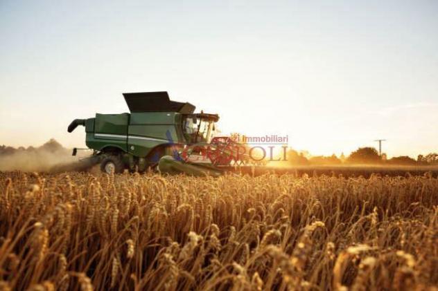 FIUMICINO, CASALE CON TERRENO AGRICOLO IN VENDITA - Foto 6