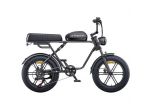 Engwe E-Bike M1 250W 48V 15.6Ah