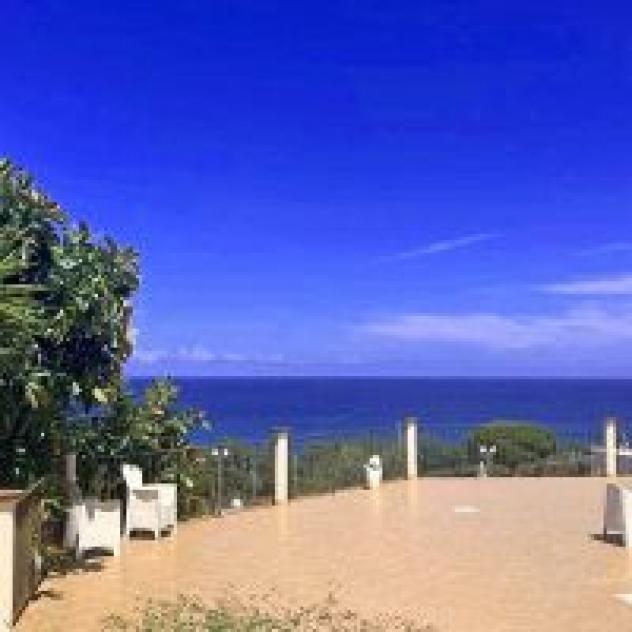 Az. Agr. Valle degli Ulivi di Spitaleri Luigi - Foto 3