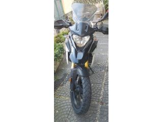 BMW G310GS