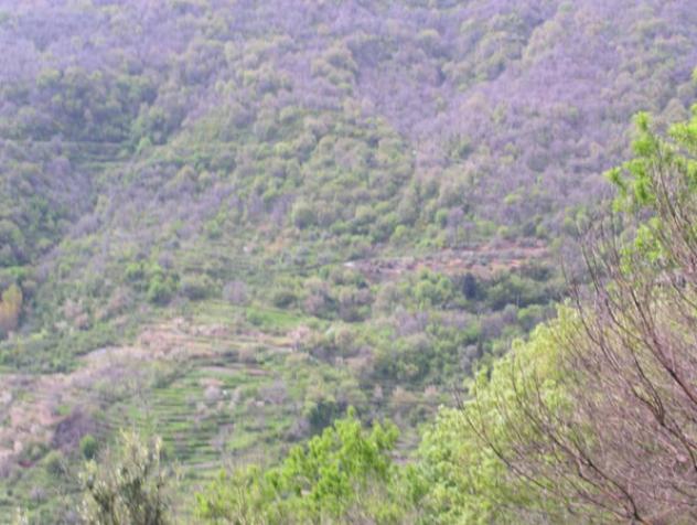 Immobile in asta di 1770 m² in vendita a Itala - Foto 10