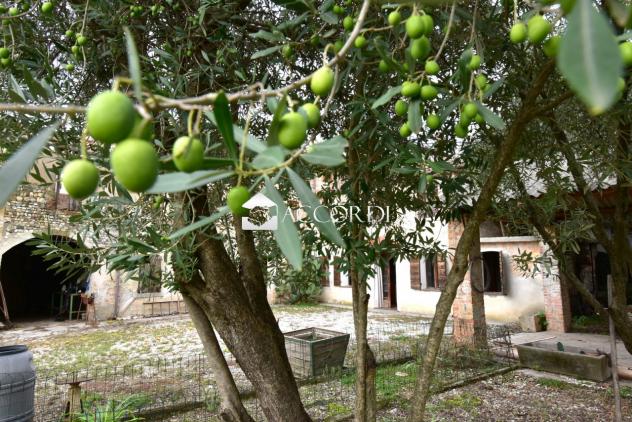 RUSTICO di 10 vani e di 750 mq (SANTA LUCIA DI PIAVE) rif. DT03