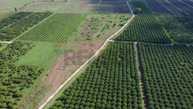 Terreno in vendita a Siracusa, Carrozziere - Foto 5