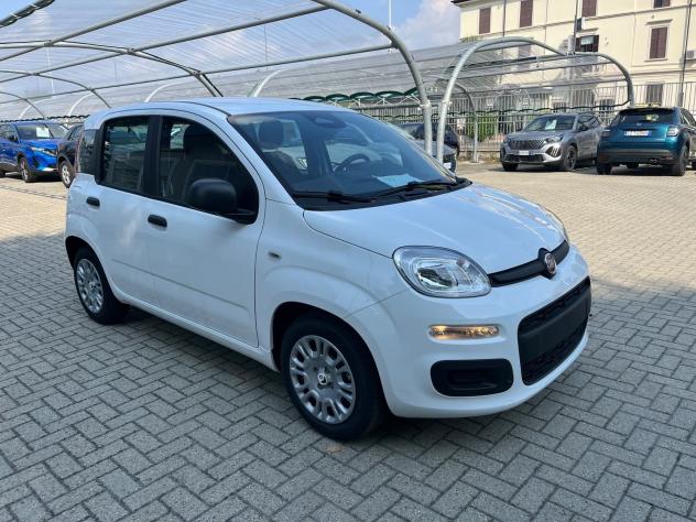 FIAT Panda Panda 1.0 firefly hybrid s&s Icon - Foto 3