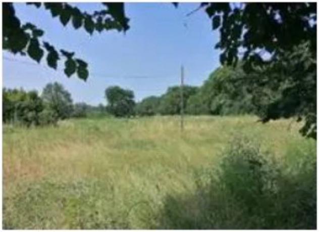 Immobile in asta di 505 m² con più di 5 locali in vendita a Fano - Foto 2