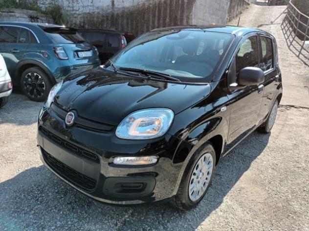 FIAT Panda 1000 HYBRID PANDINA ICON 70CV 5P PACKCITY ITALIA rif. 23999344 - Foto 2
