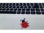 Trascrizioni di file audio e stesura di articoli e testi su richiesta