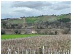 IMMOBILI-IMMOBILE COMMERCIALE-Contrada Gioncare, Poggio San Marcello AN, Italia