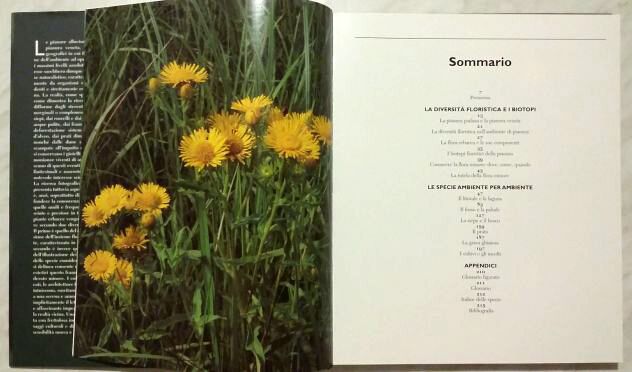 Fiori di pianura di Frigo, Spigariol, Zanetti Ed.Cierre, novembre 1999 nuovo - Foto 4