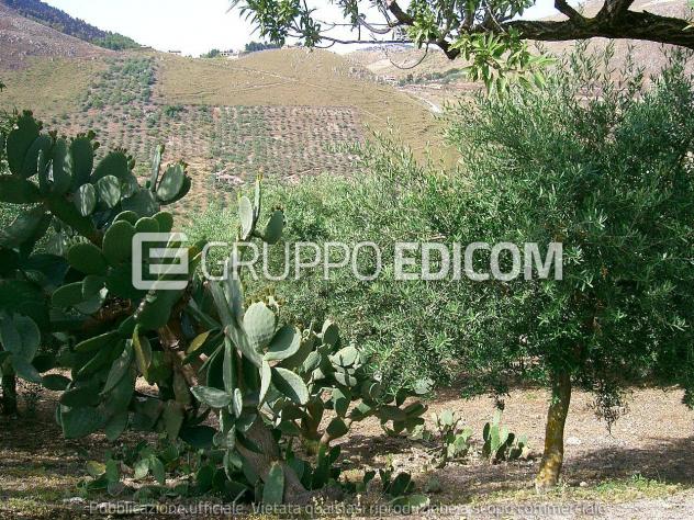 Terreno di 2234 mq in vendita a Belmonte Mezzagno - Rif. 4557340 - Foto 6