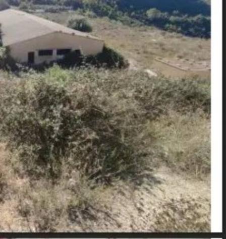 Immobile in asta di 15000 m² in vendita a Licodia Eubea - Foto 7