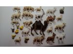Pecore e animali per PRESEPE