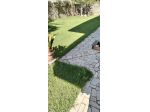 Appartamento in vendita a Massa 125 mq  Rif: 1266154