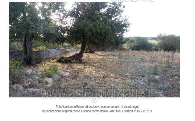 IMMOBILI-ALTRA CATEGORIA-Contrada Aurnia Brizza - Foto 5