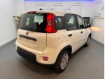 FIAT Pandina Pandina 1.0 FireFly 65 CV Hybrid Icon