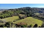 Azienda Agricola in vendita a Montescudaio