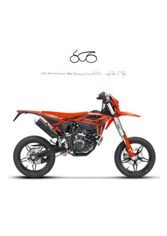 BETAMOTOR RR 125 MOTARD T rif. 20998233