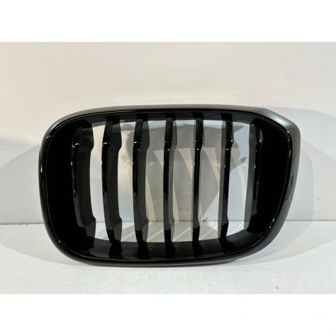 BMW X3 G01/X4 G02 Griglia Rene Sinistra-14951