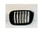 BMW X3 G01/X4 G02 Griglia Rene Sinistra-14951