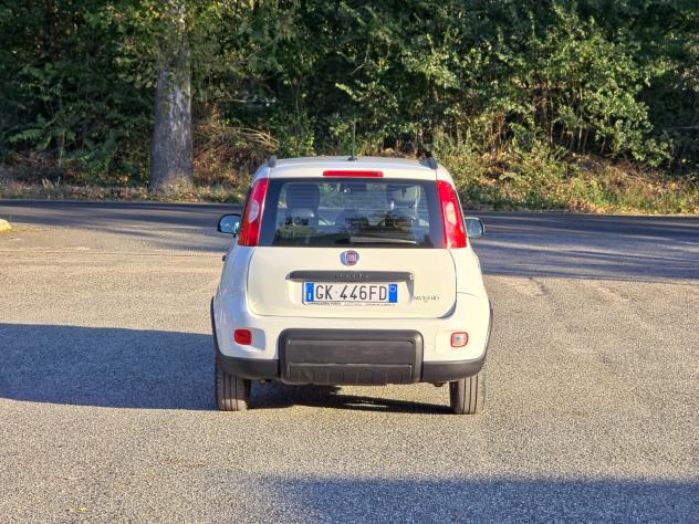 Fiat Panda 1.0 FireFly S&S Hybrid Sport CV-69 E6 Manuale NEO 2022 - Foto 5