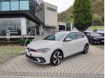 Volkswagen Polo GTI 2.0 TSI GTI DSG