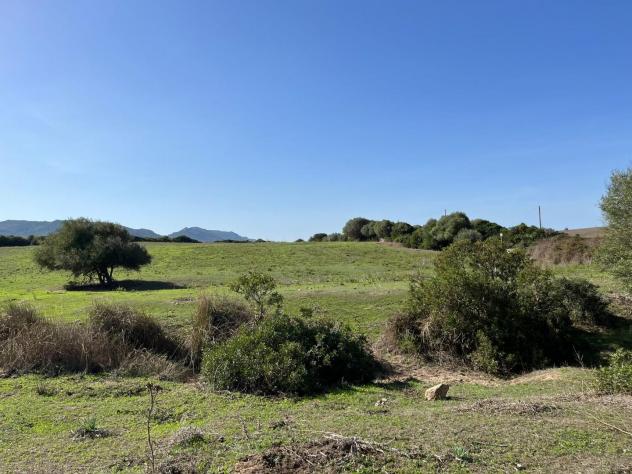 Casale in vendita a Vignola Mare - Aglientu 83000 mq Rif: 1395911 - Foto 5
