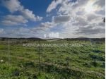 Agricolo in vendita a Alghero