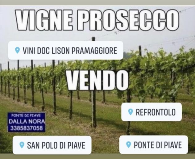 CANTINA CON 10 HA VIGNETI DI PROSECCO - Foto 2