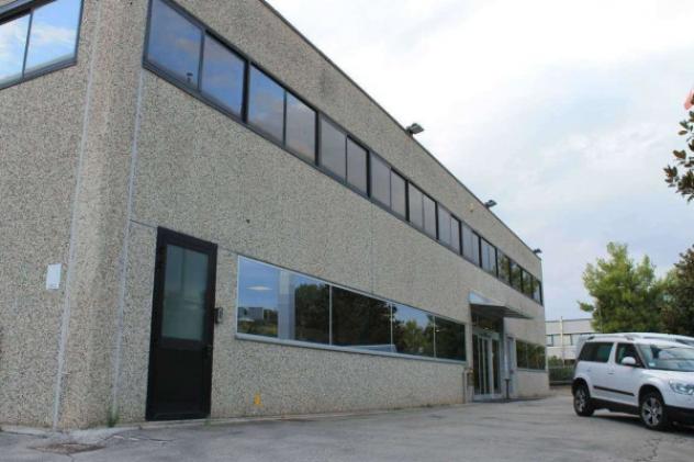 Immobile in asta di 4048 m² con più di 5 locali in vendita a Montegranaro - Foto 4