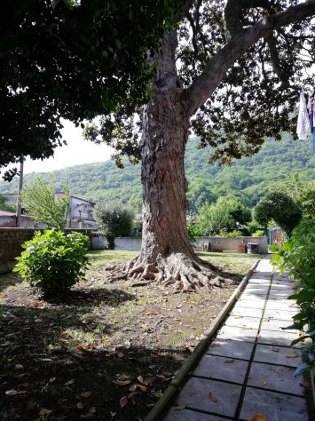 Paolisi (BN) - Indipendente con Terreno - Foto 10
