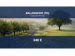 Immobile in asta di 781 m² in vendita a Balangero