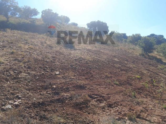 Terreno Edificabile in vendita a Bolognetta - Foto 3