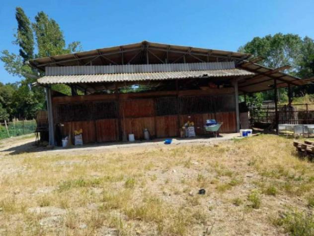 Immobile in asta di 188615 m² in vendita a Castelnuovo Berardenga - Foto 10