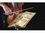 Violoncellista Alessandria