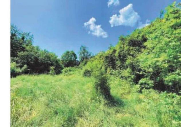 Immobile in asta di 3904 m² in vendita a Cossato - Foto 2