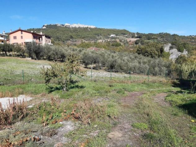 Immobile in asta di 8034 m² in vendita a Mirabello Sannitico - Foto 4