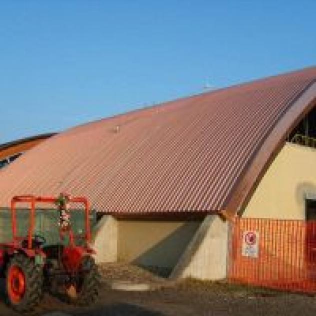 Impresa Edile Lacox