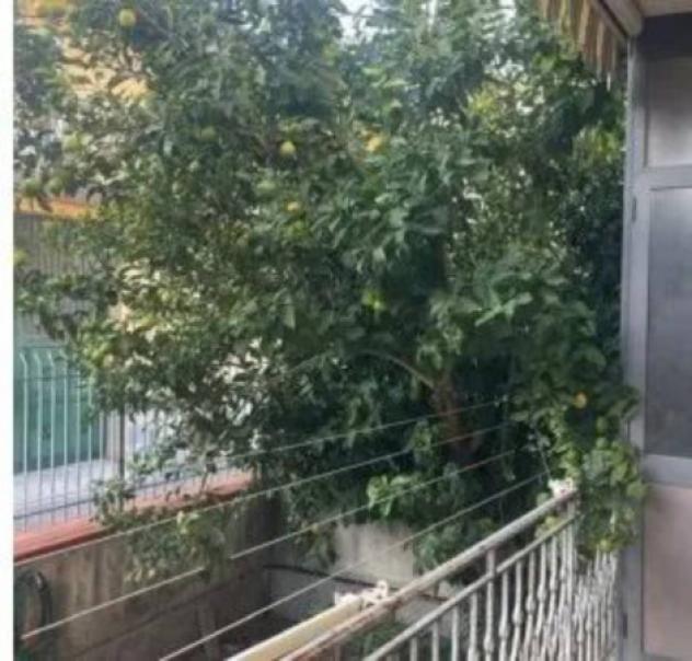 Immobile in asta di 120 m² in vendita a Carinaro - Foto 10