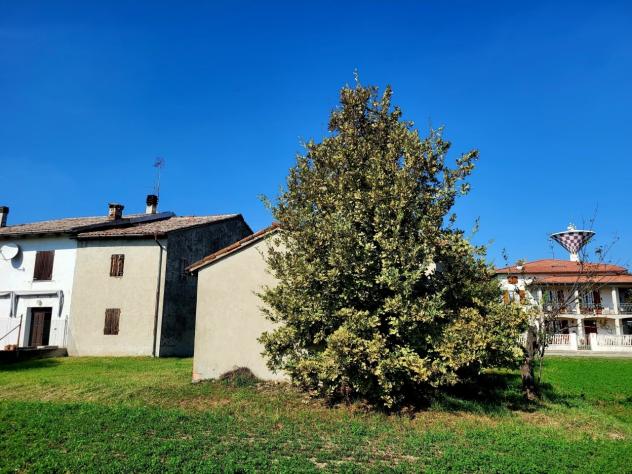 Terratetto in vendita a Sissa Trecasali - Foto 4