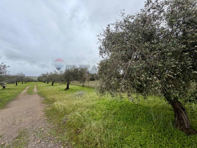 Terreno in vendita a Chiaramonte Gulfi - Foto 6