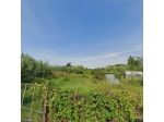 Terreno agricolo in vendita a Ronchi - Massa 1345 mq  Rif: 1313611