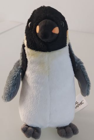 PELUCHES - Foto 3