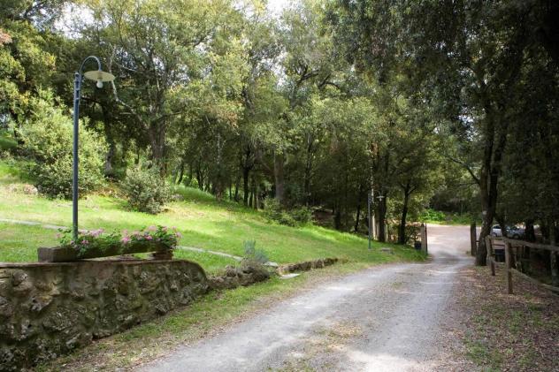 Edificio storico in vendita a Monteriggioni 1356 mq Rif: 1225935 - Foto 7