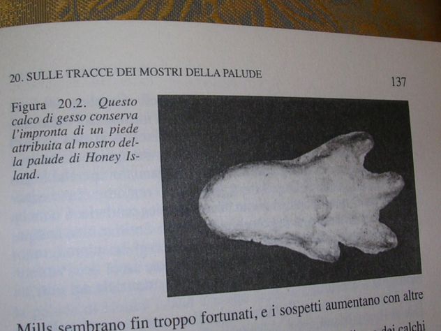 CRONACHE DEL MISTERO - Foto 7