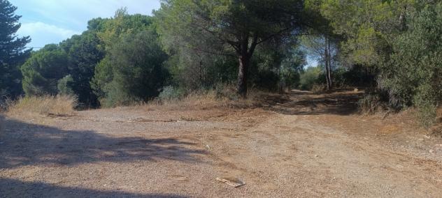 FOLLONICA VENDESI TERRENO AGRICOLO - Foto 3
