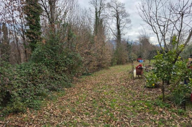 Terreno di 6110 m² in vendita a Velletri - Foto 9