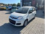 FIAT Pandina NUOVA PANDA Panda 1.0 70cv Hybrid Panda