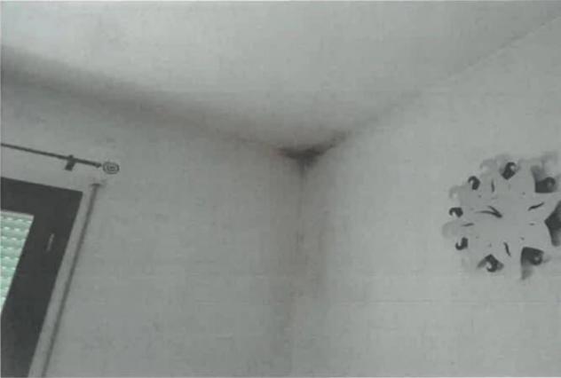 Immobile in asta di 110 m², box auto in vendita a Pramaggiore - Foto 6