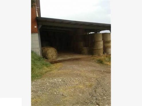 Azienda Agricola in Val d''Enza - Foto 3